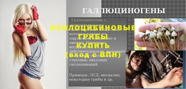 эйфоретик Алексин