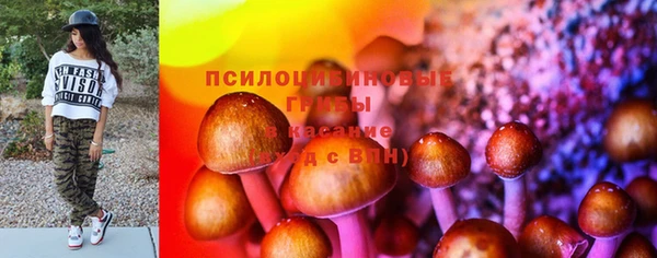 эйфоретик Алексин