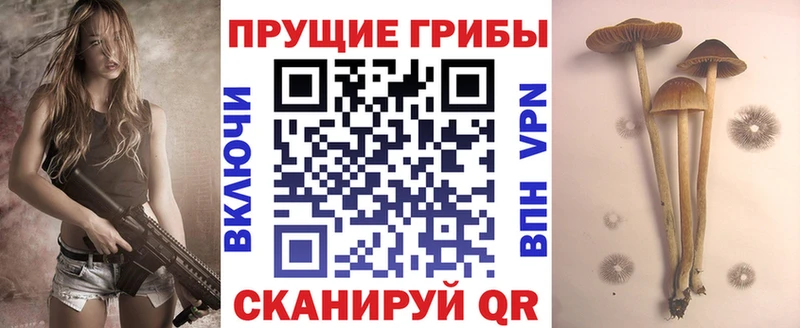 площадка телеграм  ссылка на мегу маркетплейс  Дмитриев  Псилоцибиновые грибы ЛСД 